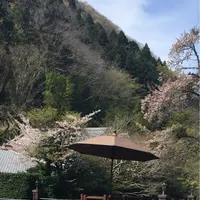 東府やベーカリー＆カフェの写真・動画_image_229671