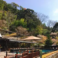 東府やベーカリー＆カフェの写真・動画_image_229674