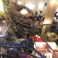 ボンベイ バザー（BOMBAY BAZAR）の写真・動画_image_229720