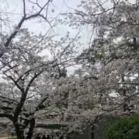 ヨーキーズブランチ （YORKYS BRUNCH）の写真・動画_image_229780