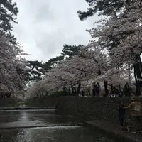 ヨーキーズブランチ （YORKYS BRUNCH）の写真・動画_image_229781