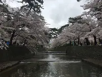 ヨーキーズブランチ （YORKYS BRUNCH）の写真・動画_image_229783