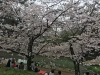 ヨーキーズブランチ （YORKYS BRUNCH）の写真・動画_image_229784