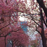 馬車道駅の写真・動画_image_229980
