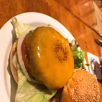 Hummingbirds'hillの写真・動画_image_230035