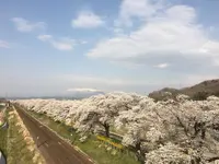 船岡城址公園の写真・動画_image_230675