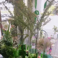 バタフライデコフルリフトの写真・動画_image_230689