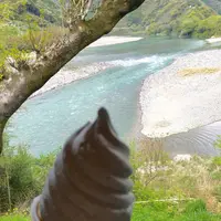 高知アイス売店の写真・動画_image_230741