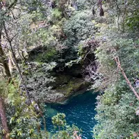 にこ淵の写真・動画_image_230742