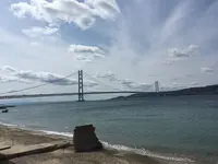 淡路島国営明石海峡公園の写真・動画_image_230777