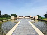 淡路島国営明石海峡公園の写真・動画_image_230778