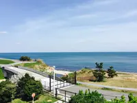 淡路島国営明石海峡公園の写真・動画_image_230779