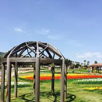 淡路島国営明石海峡公園の写真・動画_image_230780