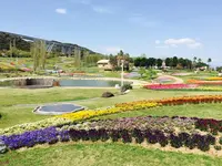 淡路島国営明石海峡公園の写真・動画_image_230782