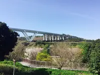 淡路島国営明石海峡公園の写真・動画_image_230783