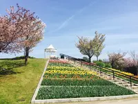 淡路島国営明石海峡公園の写真・動画_image_230784