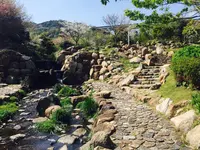 淡路島国営明石海峡公園の写真・動画_image_230785