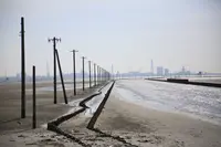 江川海岸の写真・動画_image_230951