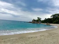 桂浜の写真・動画_image_231334