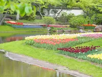 国営昭和記念公園の写真・動画_image_231484