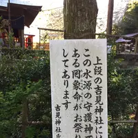 白川水源の写真・動画_image_231607