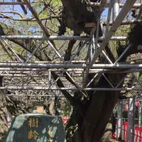 立花いこいの森の写真・動画_image_231672