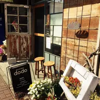 dodoの写真・動画_image_231852