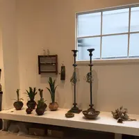 Jaho Coffee at Plain Peopleの写真・動画_image_231866