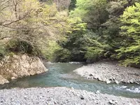 ヤビツ峠の写真・動画_image_232235
