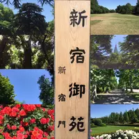 新宿御苑の写真・動画_image_232382
