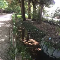 新宿御苑の写真・動画_image_232383
