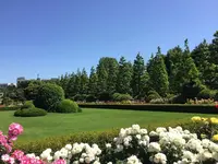 新宿御苑の写真・動画_image_232384