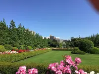新宿御苑の写真・動画_image_232387