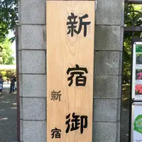 新宿御苑の写真・動画_image_232393
