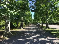 新宿御苑の写真・動画_image_232394