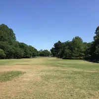 新宿御苑の写真・動画_image_232395