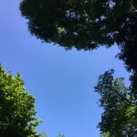 新宿御苑の写真・動画_image_232396