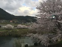 道の駅　和の写真・動画_image_232435