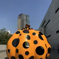 国立新美術館の写真・動画_image_232492