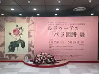 そごう美術館の写真・動画_image_232540