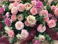そごう美術館の写真・動画_image_232541