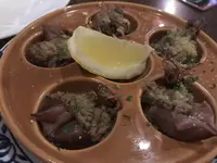 うお座の写真・動画_image_232588