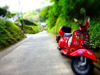 長寿寺の写真・動画_image_232977