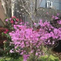 [閉店] NOZ BY T.Y.FARMの写真・動画_image_232994