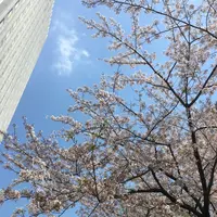 [閉店] NOZ BY T.Y.FARMの写真・動画_image_232995