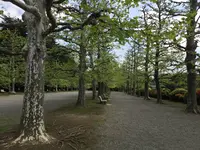 新宿御苑の写真・動画_image_233005
