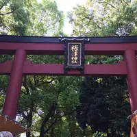 根津神社の写真・動画_image_233512
