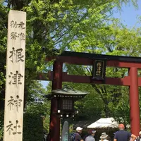 根津神社の写真・動画_image_233518