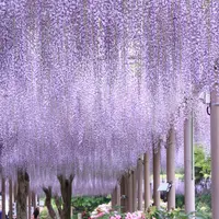 曼陀羅寺の写真・動画_image_234036