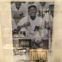 墨田区総合体育館の写真・動画_image_234334